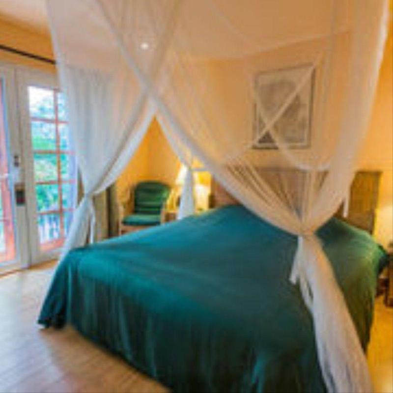 The Villa Paradiso Ltd. 金边 外观 照片